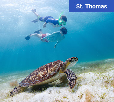 swimming-with-sea-turtles-caribbean-charter